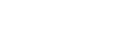 Talleres el pinillo logo blanco